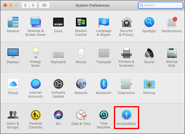 Click the Accessibility icon in System Preferences